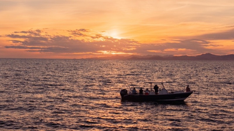 DIP boat at sunset off the Los Cabos coast